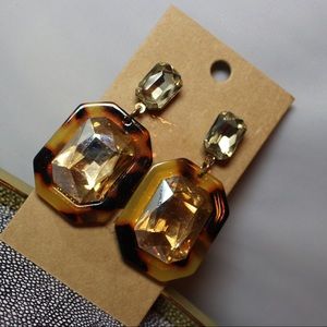 Turtle Glam Earrings